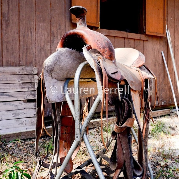 Ammerman Roping Saddle - Picture 2 of 4